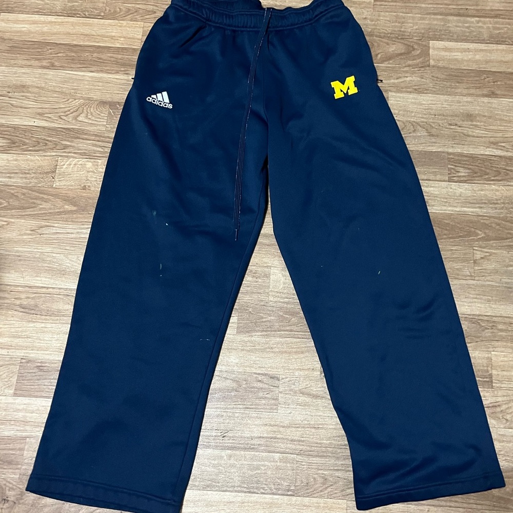 Adidas Michigan state pants